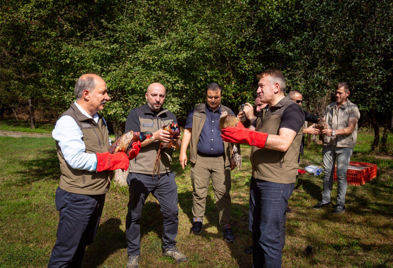 WhatsApp Image 2024-10-06 at 11.57.33.jpeg